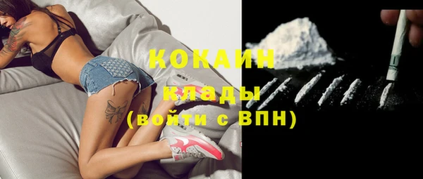 ешки Аркадак